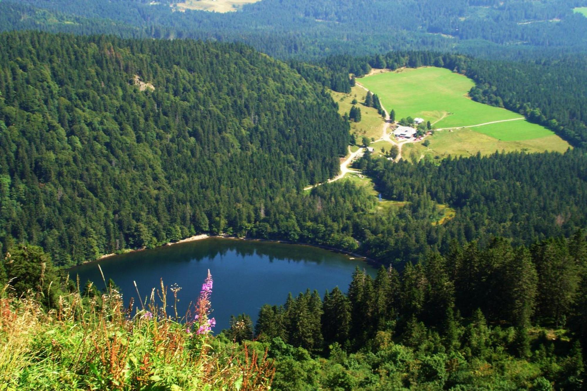 Ferienwohnung Regina Furtwangen Exteriér fotografie