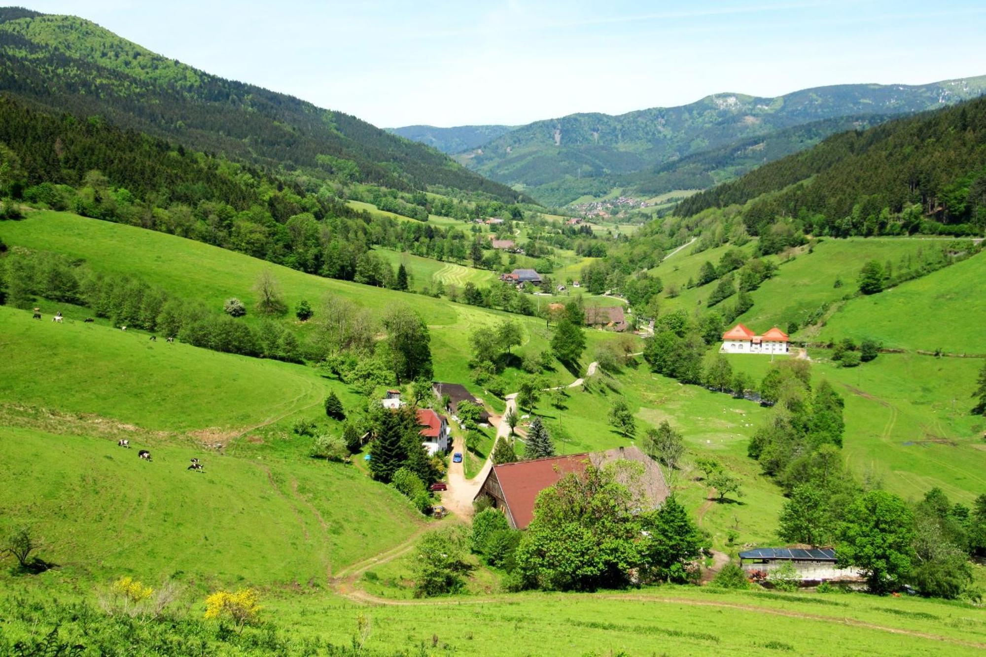 Ferienwohnung Regina Furtwangen Exteriér fotografie